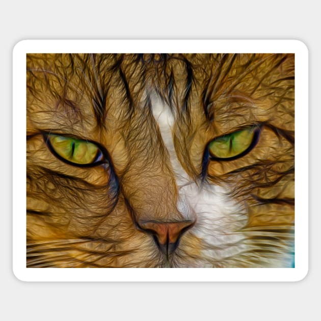 Cat Sticker by joesaladino